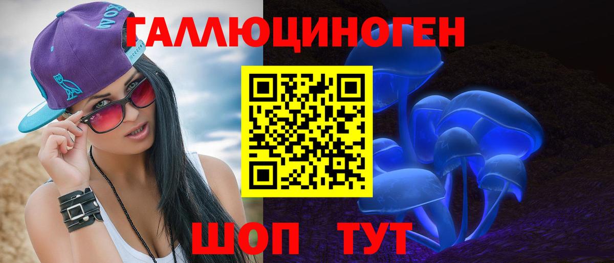 Псилоцибиновые грибы Psilocybe  Вход с VPN  что такое   Чистополь 